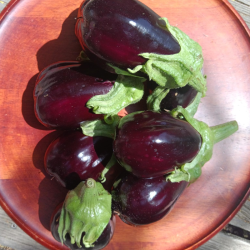 Aubergine violette - 200g