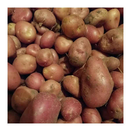 Pommes de terre - Alouette - 1kg