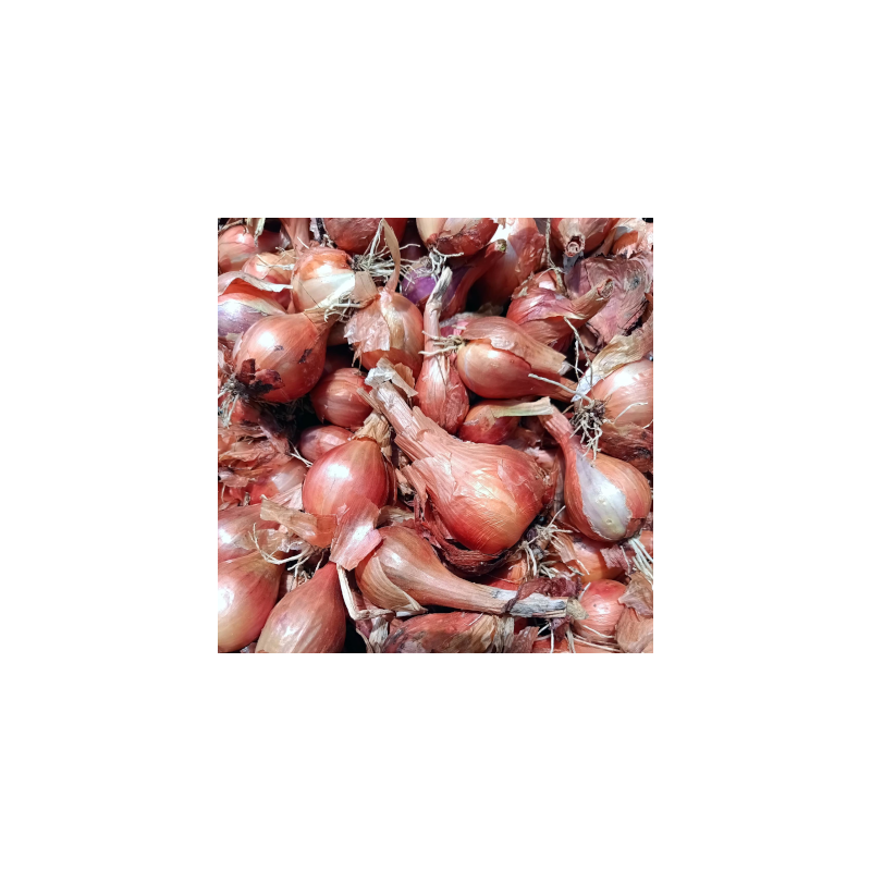 Echalote - 100g