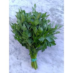 Persil plat - Bouquet
