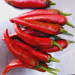 Piments d'Espelette frais -...