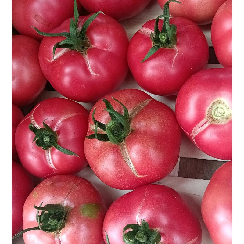 Tomates à coulis - 4kg