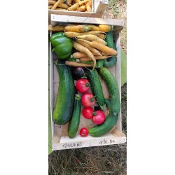Panier de légumes déclassés