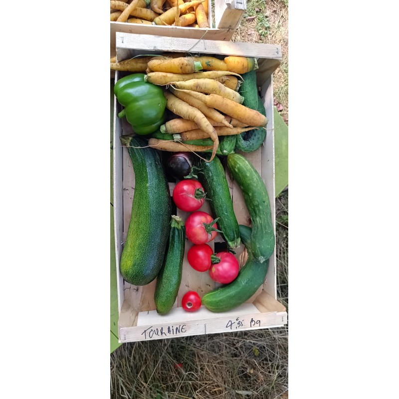 Panier de légumes déclassés