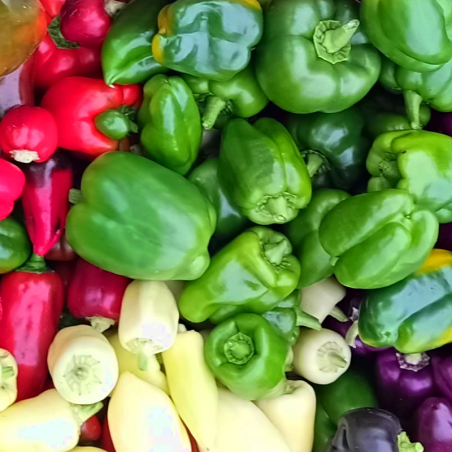 Poivrons en mélange - 500g