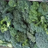 Brocoli - 500 g
