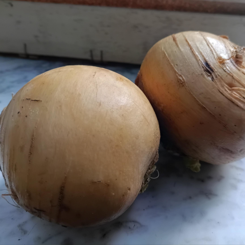 Navets - Boules d'or - 500g