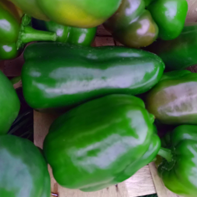 Poivrons verts - 500g
