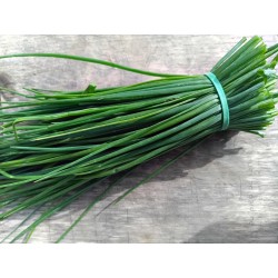 Ciboulette - Bouquet