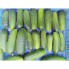 Cornichon (350 g)