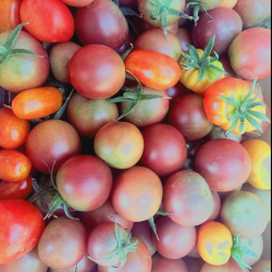 Tomates cerises - 200g