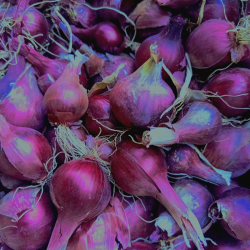 oignon rouge - 500g