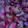 oignon rouge - 500g