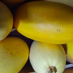 Courge - Spaghetti - 1kg