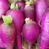 Radis d'hiver - 100g
