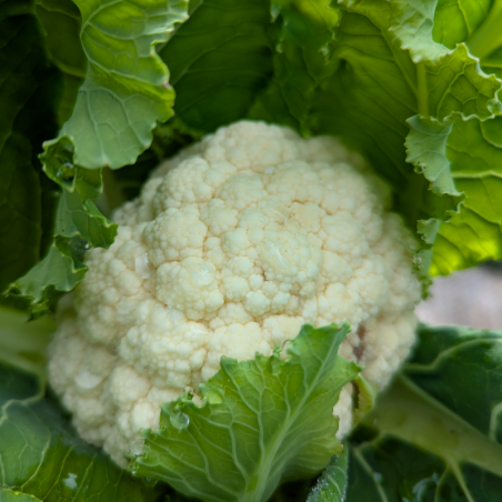 Chou-fleur - 500g