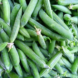 Petits pois - 100g