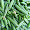 Petits pois - 100g