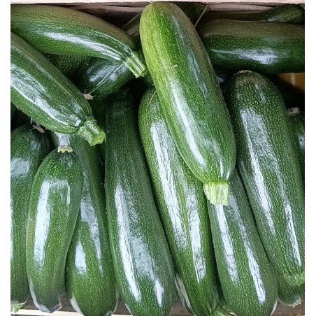 Courgette jaune - 1 kg