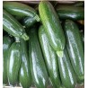 Courgette jaune - 1 kg